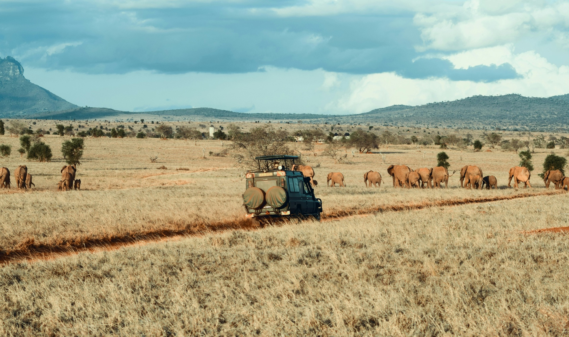 Abbigliamento per safari in Africa | Cedric Dhaenens on Unsplash | Viaggigiovani.it