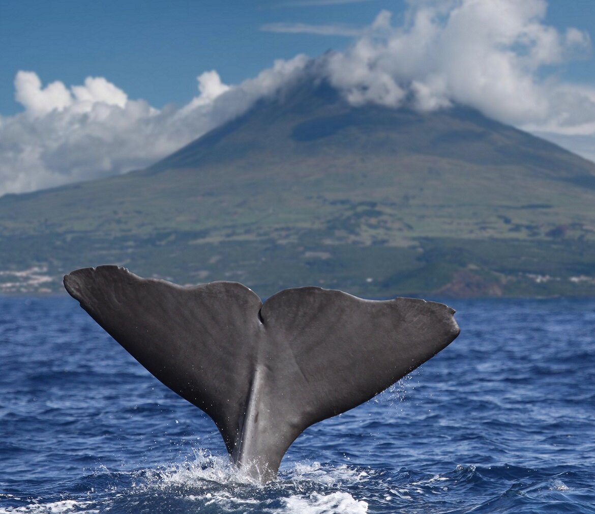 Azzorre | Viaggigiovani.it