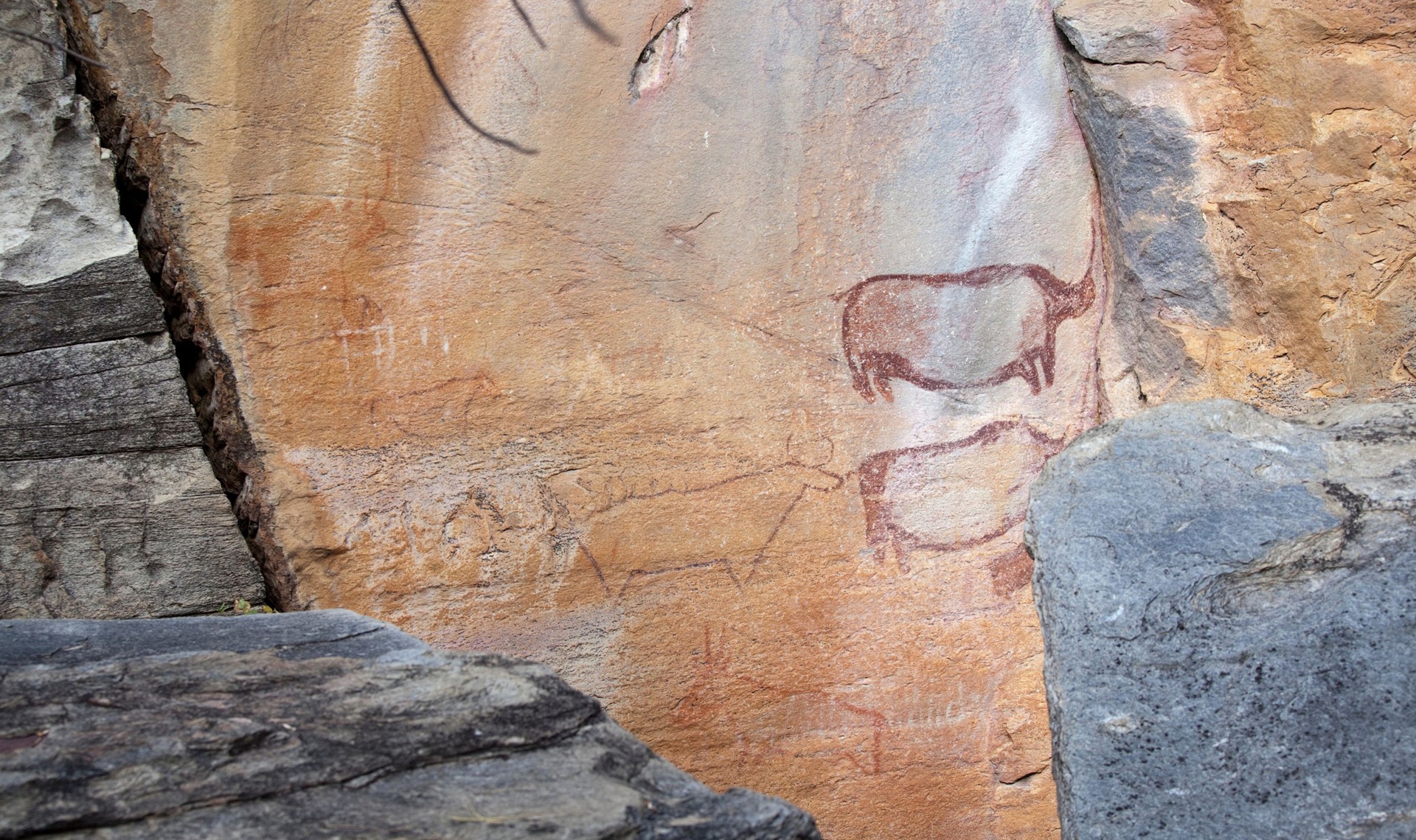 Tsodilo Hills | Botswana Cosa Vedere | Fotogaby on Canva | Viaggigiovani.it