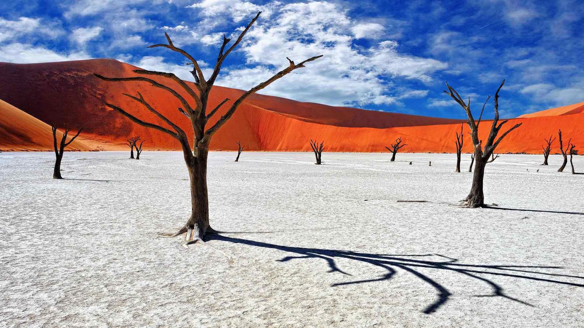 Deadvlei