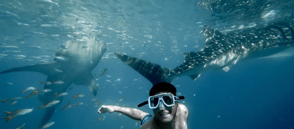 Immersioni a Nilaveli