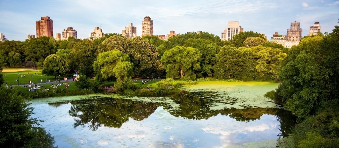 Central Park