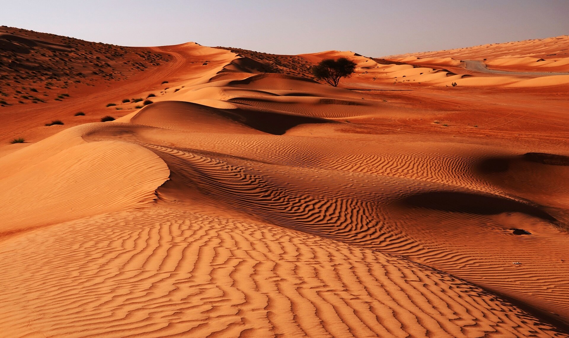 Wahiba Sands | Shutterstock | Viaggigiovani.it