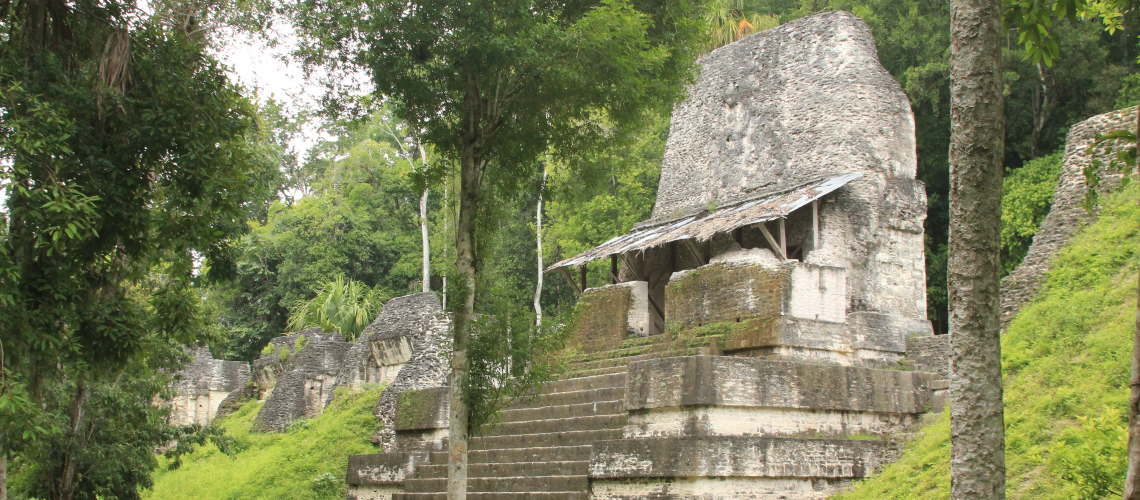 struttura Tikal