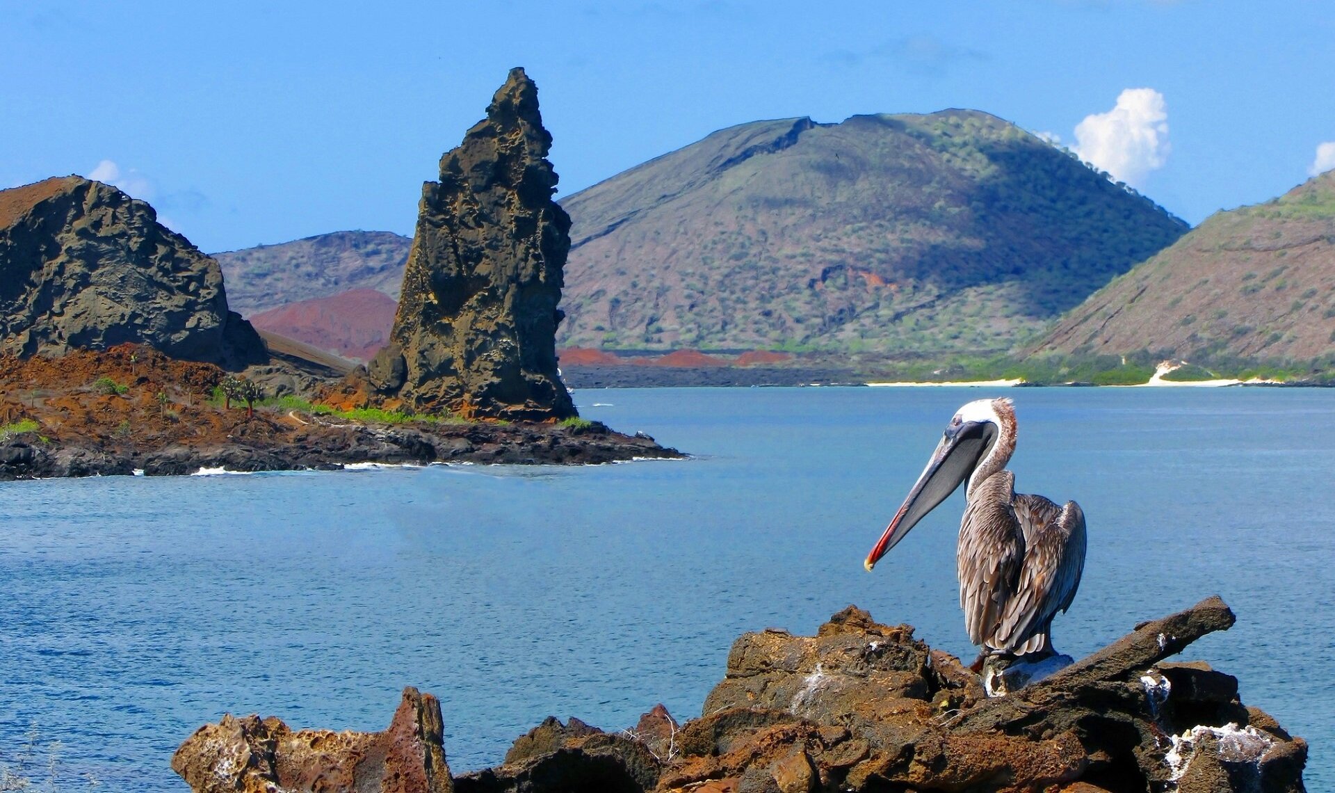 Galapagos | Shutterstock | Viaggigiovani.it