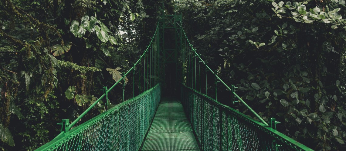 Monteverde Cloud Forest