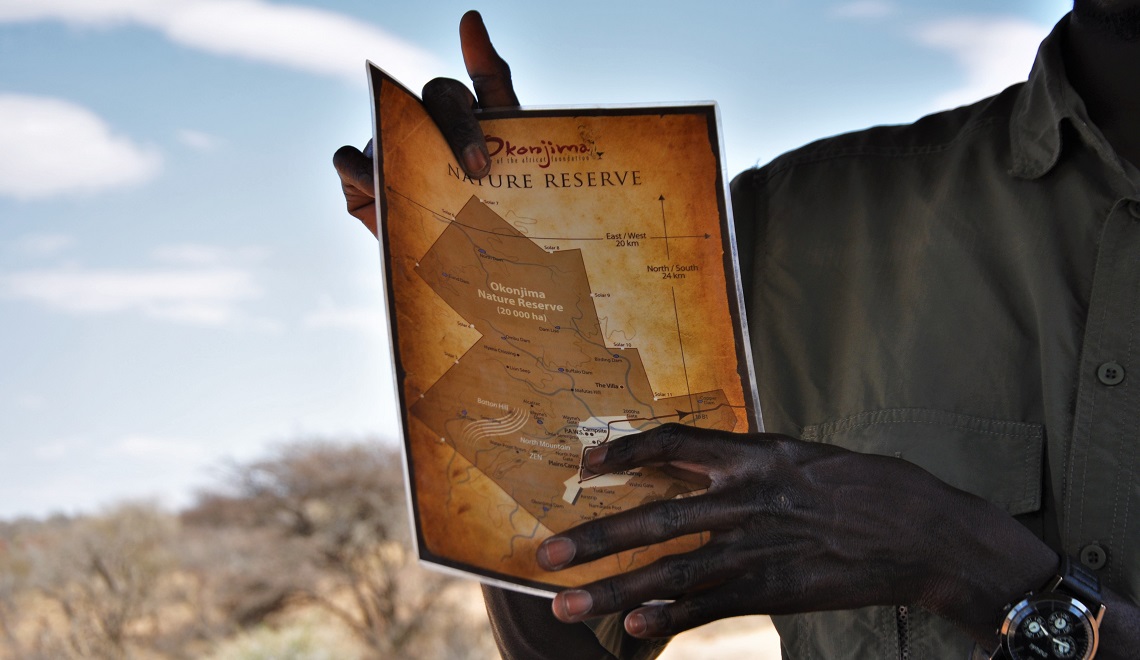 The AfriCat Foundation | Viaggigiovani.it