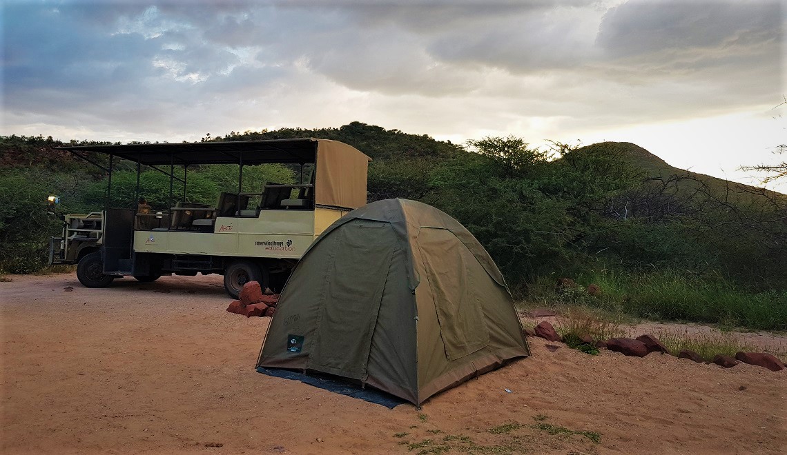 The AfriCat Foundation | Viaggigiovani.it