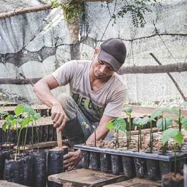 Riforestazione Colombia 2024 - Viaggigiovani.it
