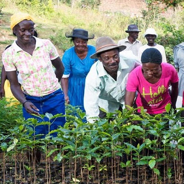 Riforestazione Guatemala 2019 - Viaggigiovani.it