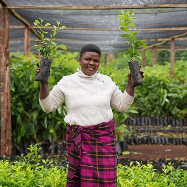 Riforestazione Tanzania 2025 - Viaggigiovani.it