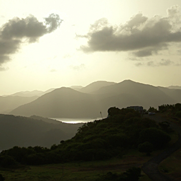 Strada alberi da fico | Top 3 Antigua
