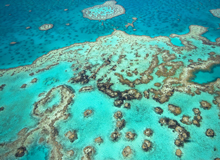 Grande Barriera Corallina