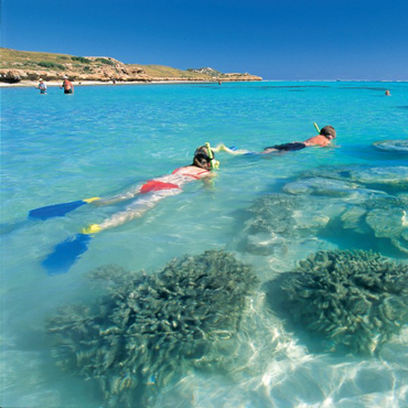 Monkey Mia | Top 10 Australia