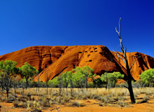 Uluru