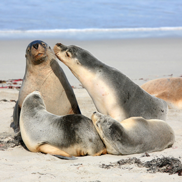 Australia Honeymoon | Viaggi di nozze