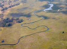 Delta dell'Okavango