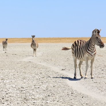 Makgadikgadi Pans NP | Top 5 Botswana