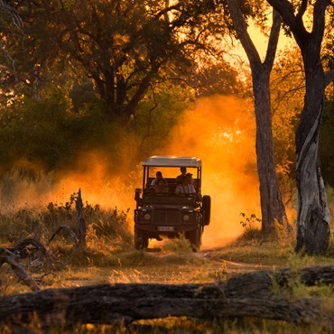 Moremi Game Reserve | Top 5 Botswana