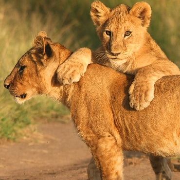 Sudafrica & Botswana | Tour Piccoli Gruppi