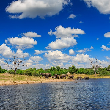 African Wonders | Tour Piccoli Gruppi