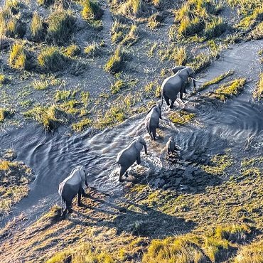 Bostswana, Caprivi e Victoria Falls | Tour Piccoli Gruppi