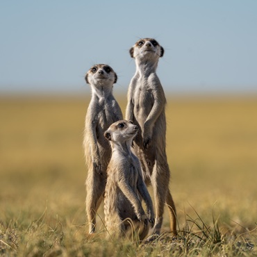 Botswana Original | Tour Piccoli Gruppi