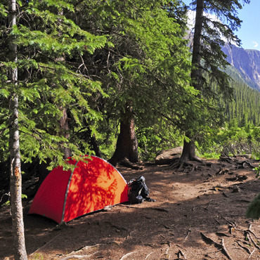 Parco Nazionale del Jasper | Top 5 Canada