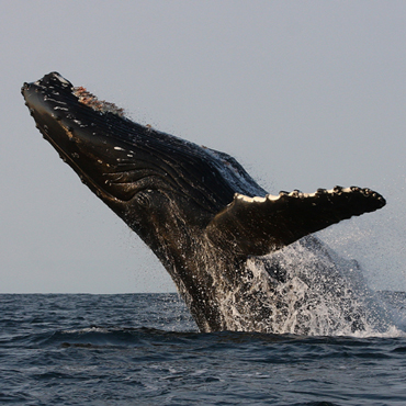 Il Meglio del Quebec | Viaggi su Misura