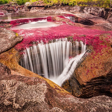 Caño Cristales | Top 5 Colombia