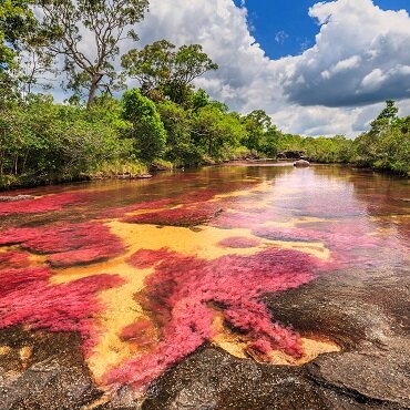 Tour Colombia Special