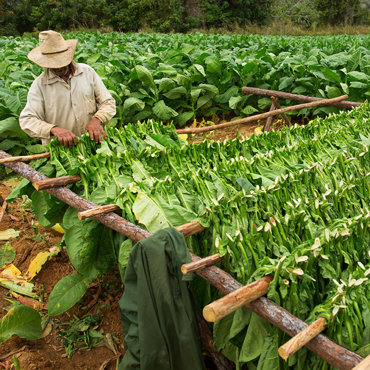 Cuba Original | Tour Piccoli Gruppi