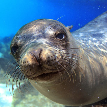 Tour Ecuador Galapagos