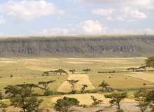 Rift Valley