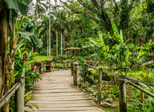 Giardino del Gigante Dormiente