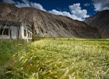 Monasteri della valle dell'Indo