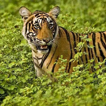 India Rajasthan Special | Tour Piccoli Gruppi