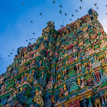 India Tamil e Kerala | Tour Piccoli Gruppi