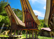 Tana Toraja
