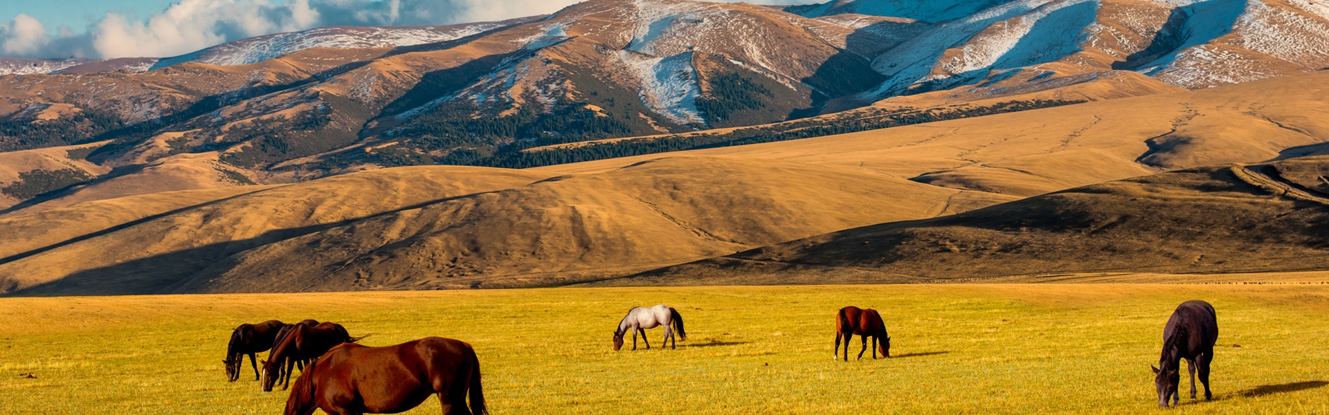 Viaggio in Kazakistan