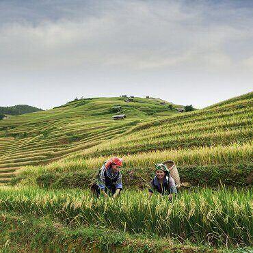 Laos Surprise | Tour Piccoli Gruppi