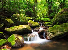 Parco nazionale Montagne d'Ambre