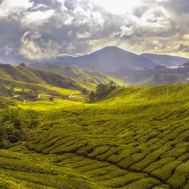 Tour Penisola Malese e Singapore