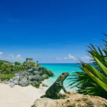 Yucatan e Chiapas | Viaggi su Misura