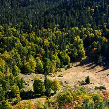Durmitor National Park | Top 3 Montenegro