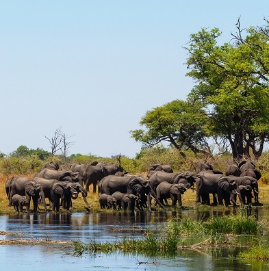 Namibia Wild | Viaggi su misura