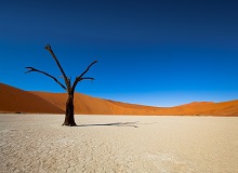 Il paesaggio surreale di Deadvlei