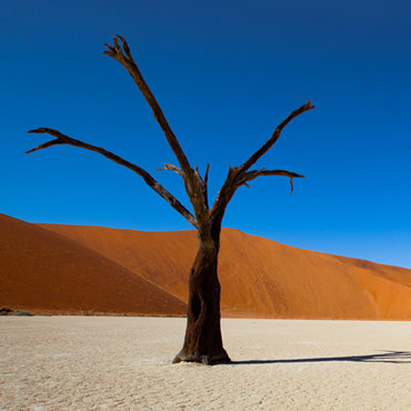 Namibia Original | Tour Piccoli Gruppi