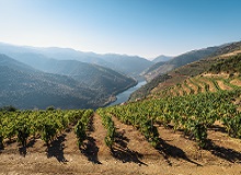 Valle del Douro