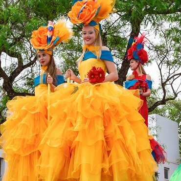Madeira | Top 5 Portogallo